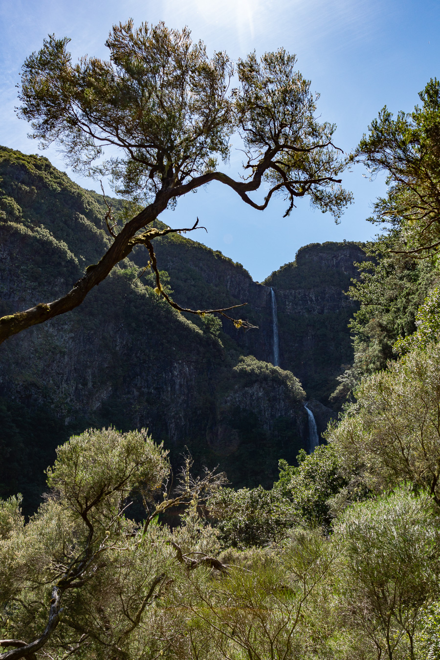 Cascade de Risco