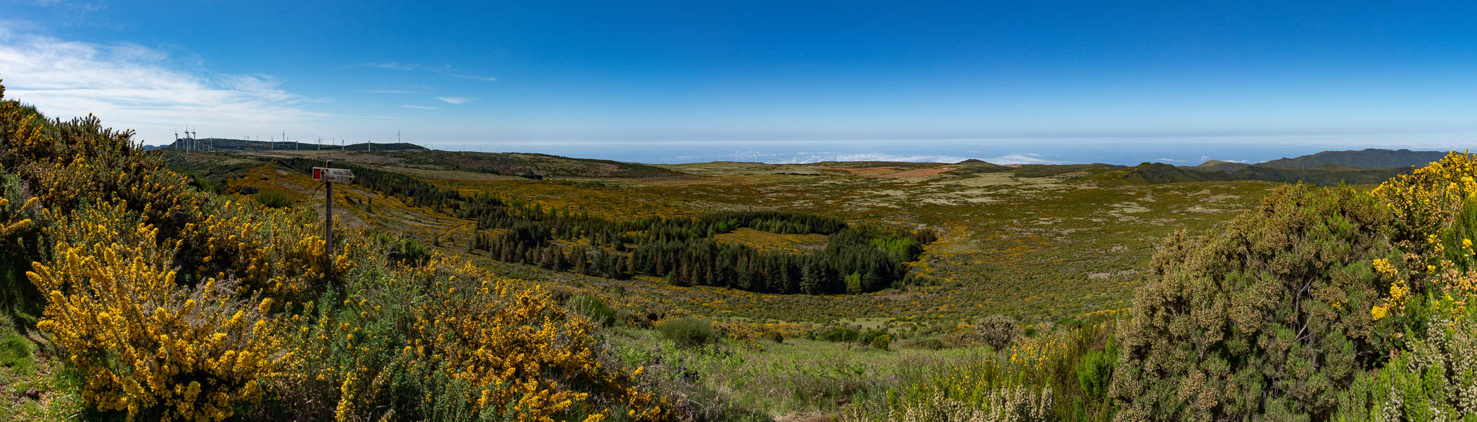 Pico Ruivo do Paúl da Serra : vue sud