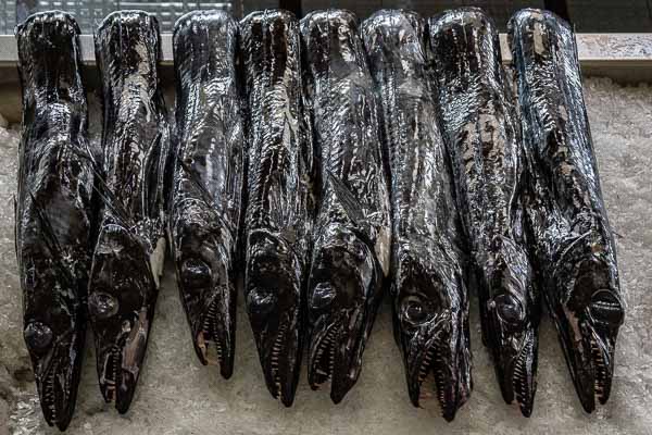 Funchal : mercado dos lavradores, sabre noir (Aphanopus carbo)