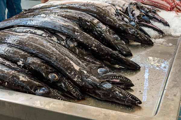Funchal : mercado dos lavradores, sabre noir (Aphanopus carbo)