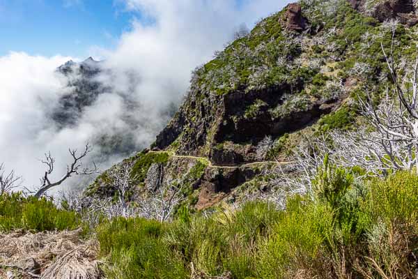 Sentier entre pico Ruivo et pico do Arieiro