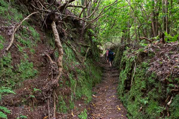 Entre Ilha et la levada de Caldeirão Verde