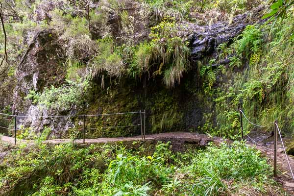 Levada de Caldeirão Verde