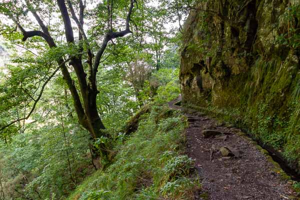 Levada de Caldeirão Verde
