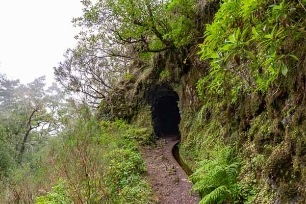 Levada de Caldeirão Verde