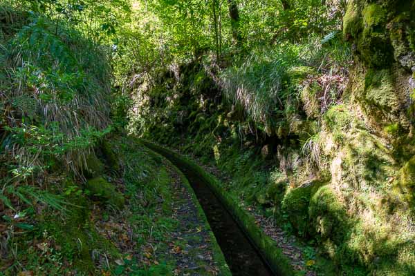 Levada dos Tornos