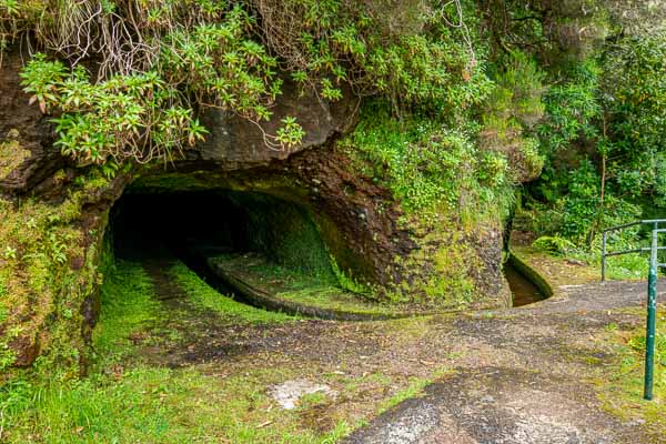 Levada dos Tornos : tunnel