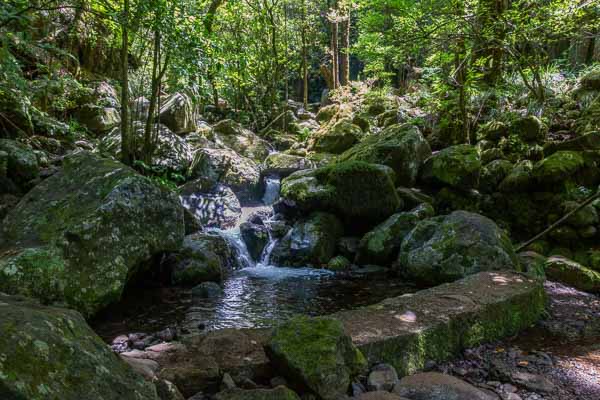 Source de la levada dos Cedros