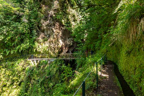 Levada dos Cedros