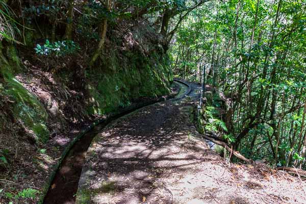 Levada dos Cedros