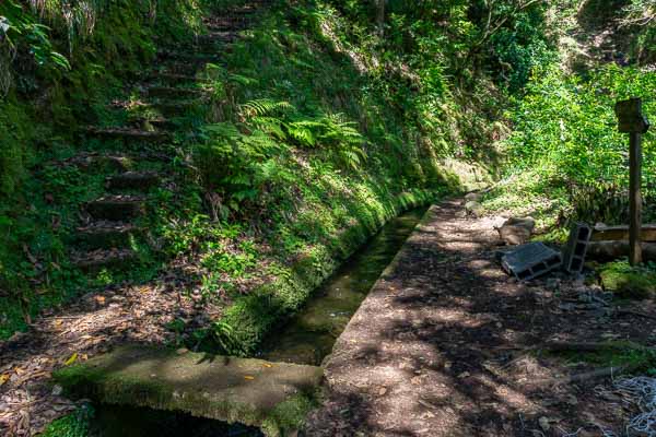 Levada de Ribeira da Janela