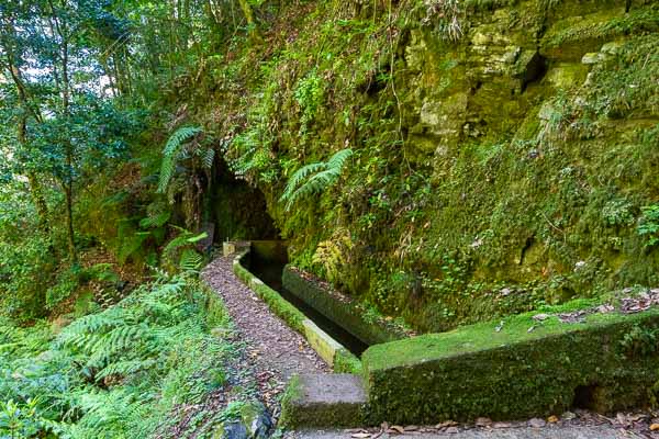 Levada de Ribeira da Janela : sortie du 1er tunnel (1,5 km)