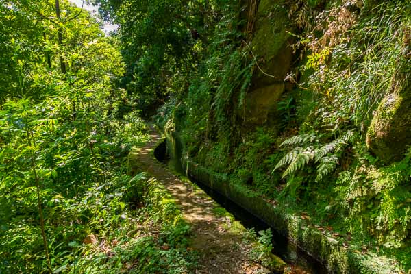 Levada de Ribeira da Janela