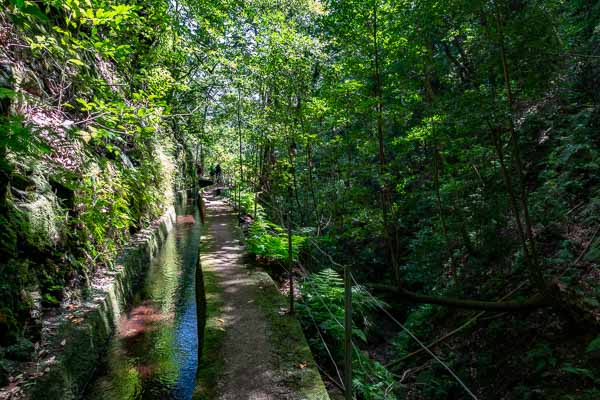 Levada de Ribeira da Janela