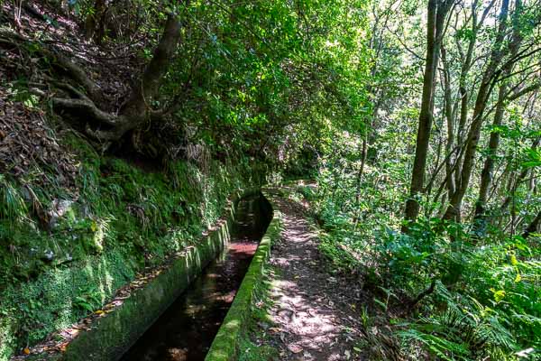 Levada de Ribeira da Janela