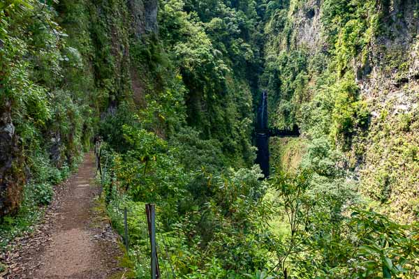 Levada de Ribeira da Janela : cascade