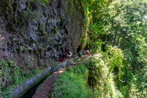 Levada de Ribeira da Janela