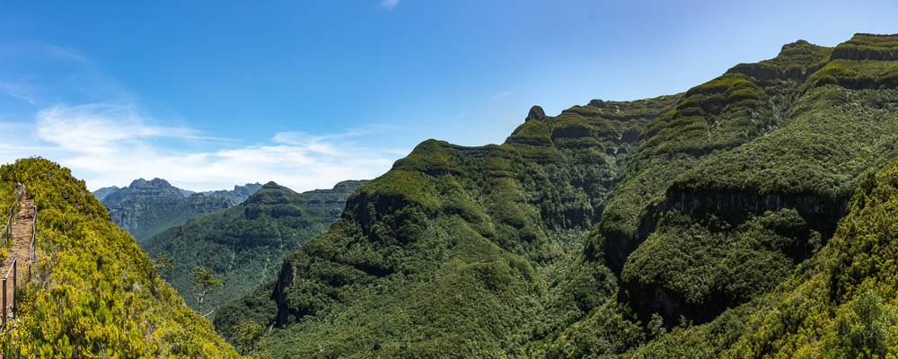 Forêt depuis une petite crête