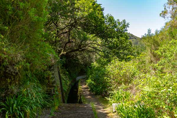 Levada do Norte