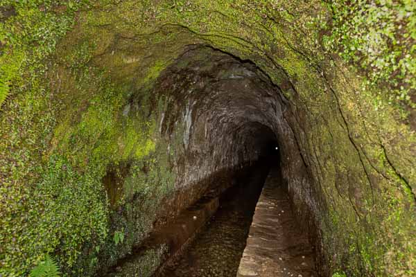 Tunnel de la levada do Norte : sortie est