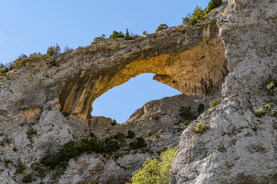 Rodellar : gorges du río Mascún, le dauphin