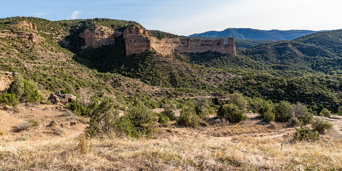 Peña Falconera