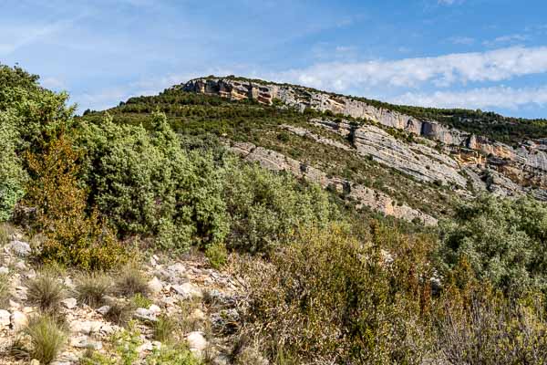 Cerro Quizáns, 1124 m