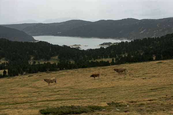 Lac des Bouillouses depuis les environs de la Balmeta