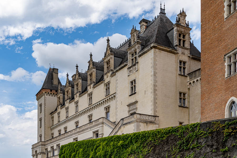 Château de Pau : jardin