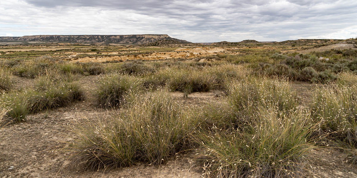 Bardena Blanca et falaise d'El Plano