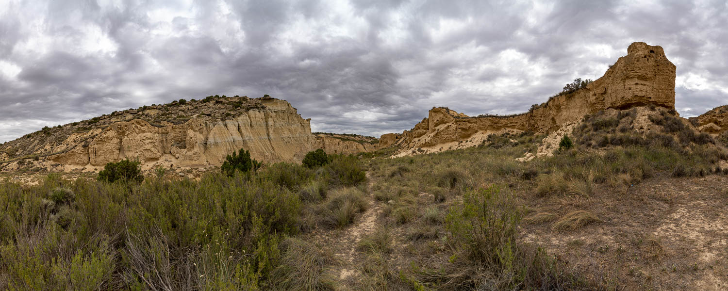 Bardena Blanca : barranco Grande