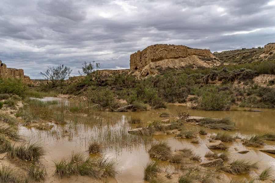 Bardena Blanca : barranco Grande