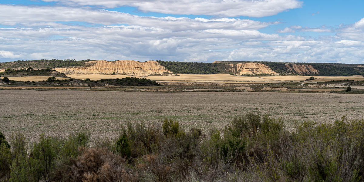 Bardena Blanca