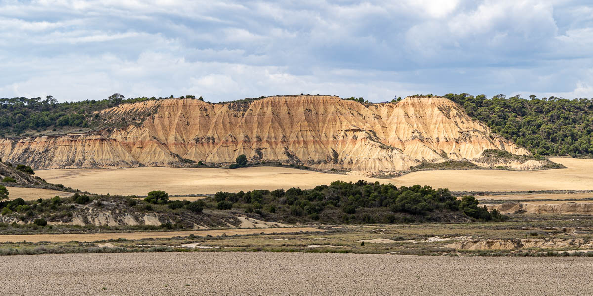 Bardena Blanca