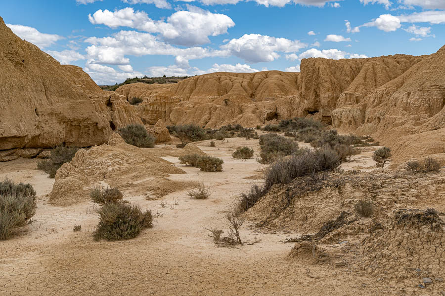 Bardena Blanca : badlands