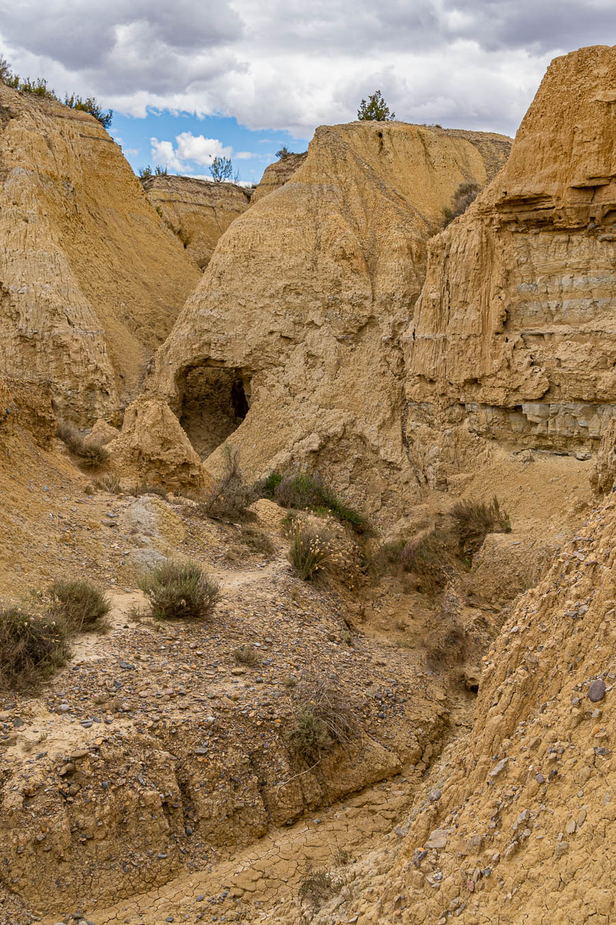 Bardena Blanca : badlands