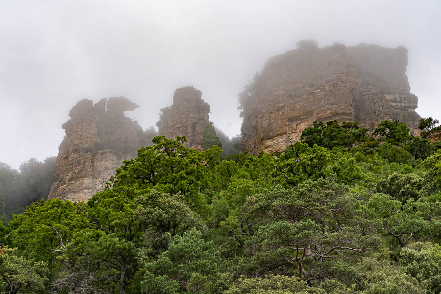 Falaise de Leyre