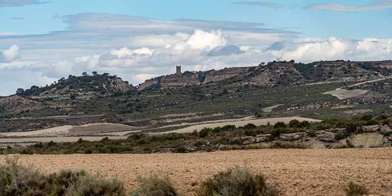 Bardena Blanca : castillo de Peñaflor