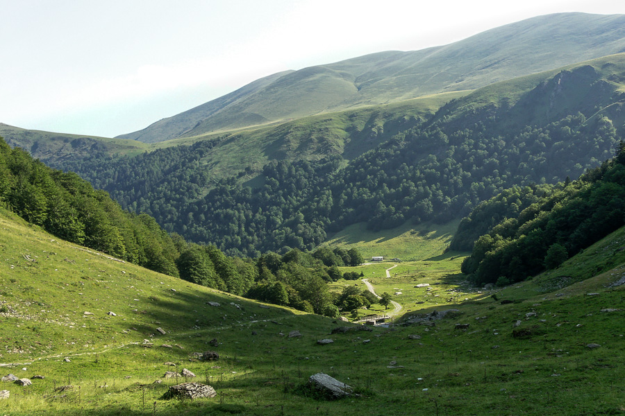 Montée de l'Hospice de France vers Venasque