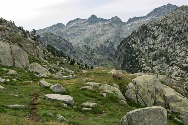 Sentier quittant le refuge Ventosa vers l'est, col de Contraix