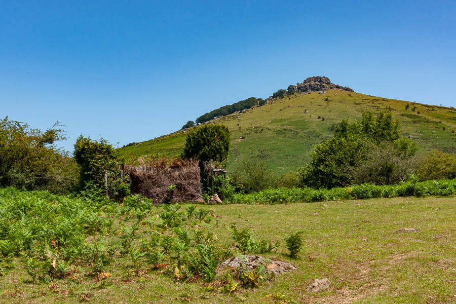 Palombière près de Gainekoborda, 435 m