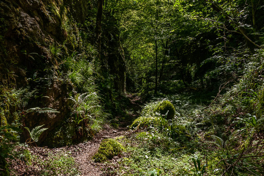 Ravin entre Pays basque et Béarn