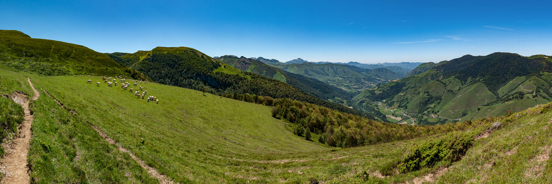 Près de la cabane d'Escuret de bas, 1417 m