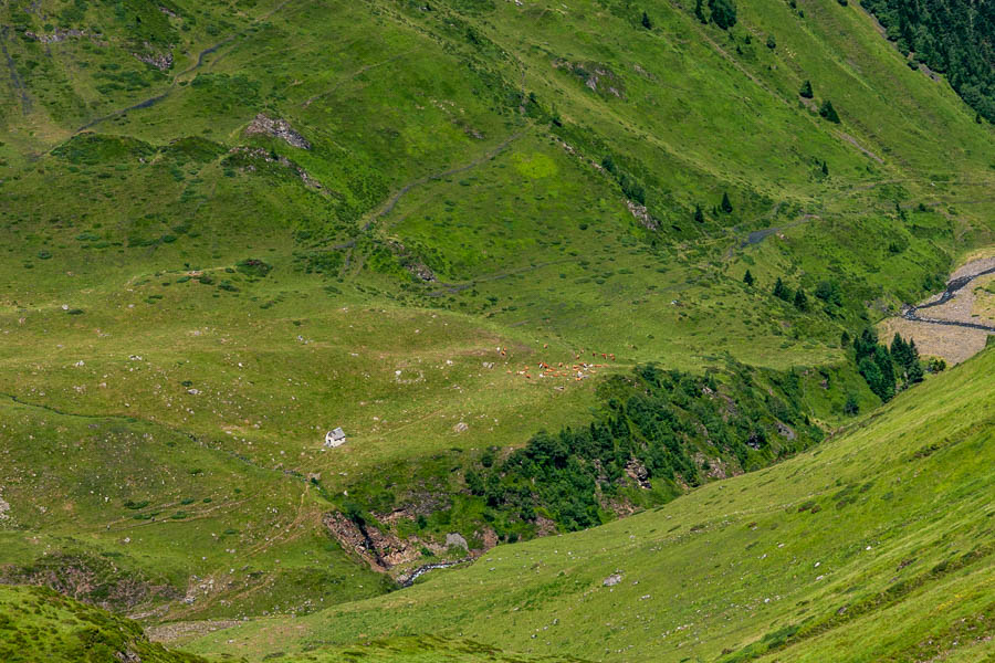 Entre cabane d'Ourtiga et couret d'Esquierry