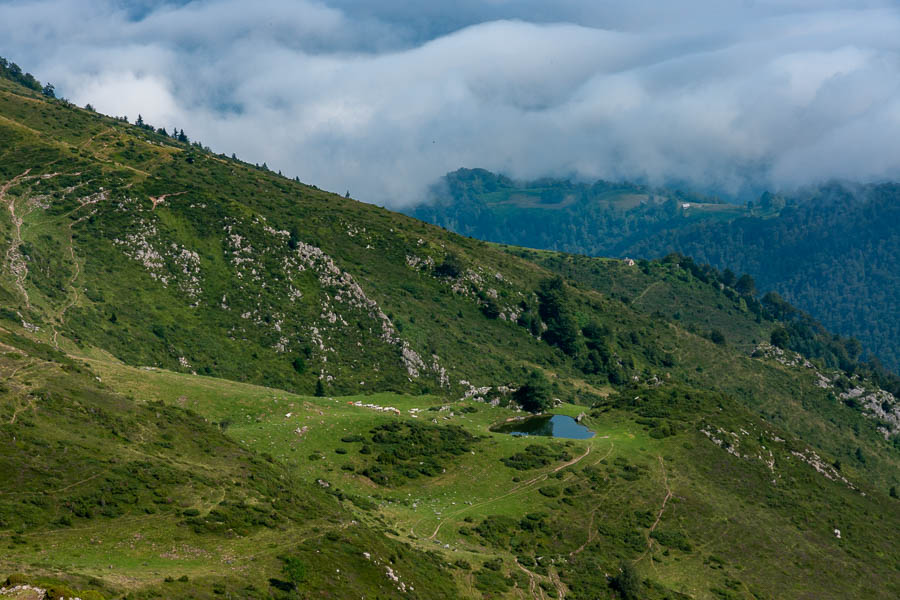 L'Estagnot