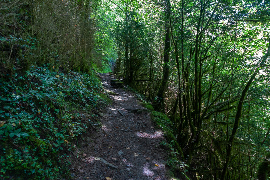 Sentier sombre et humide au-dessus d'Estours