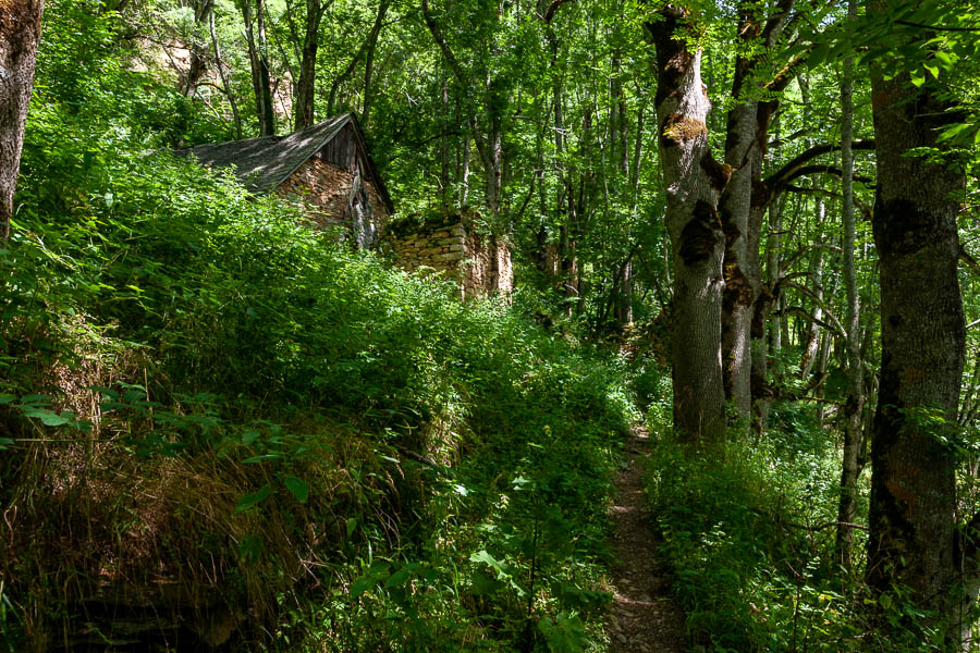 Ruines de La Bourdasse, 1225 m