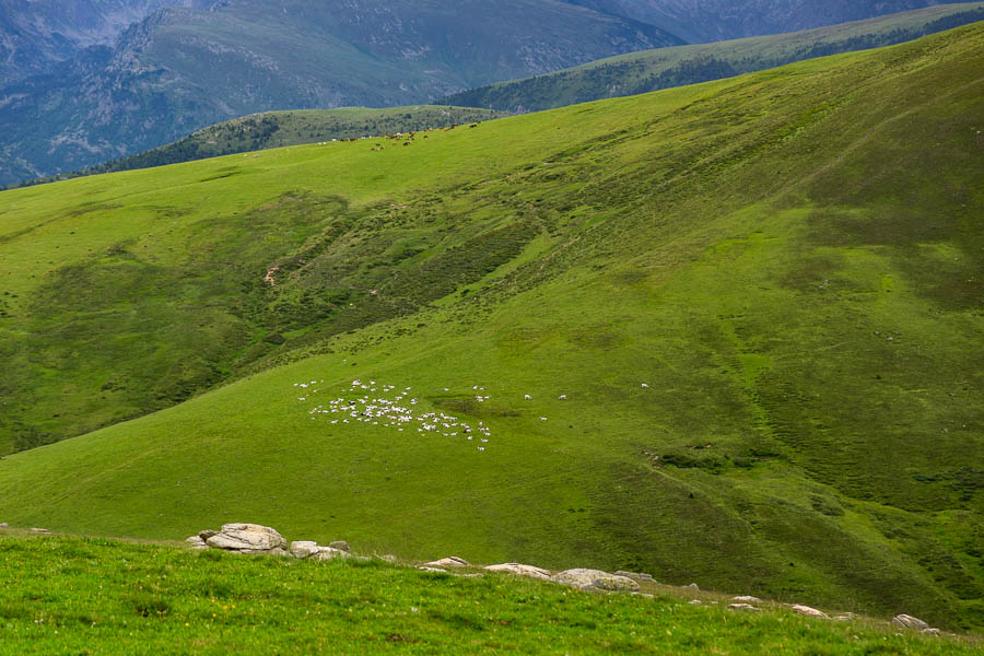 Col du Sasc, 1798 m