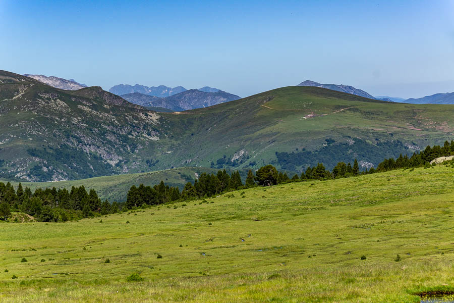 Jasse de Beille d'en haut : vue ouest