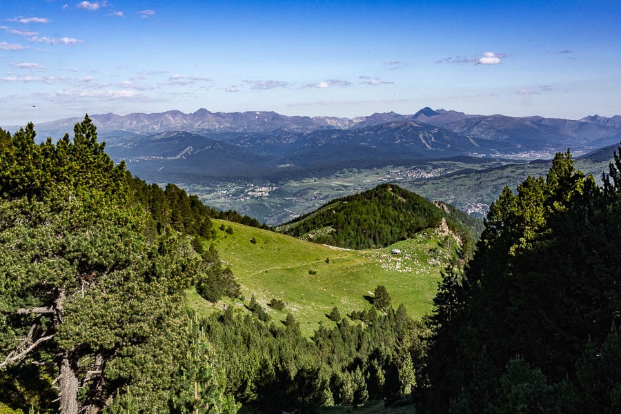 Cabane et troupeau